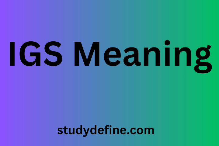 IGS meaning in text| Slang examples