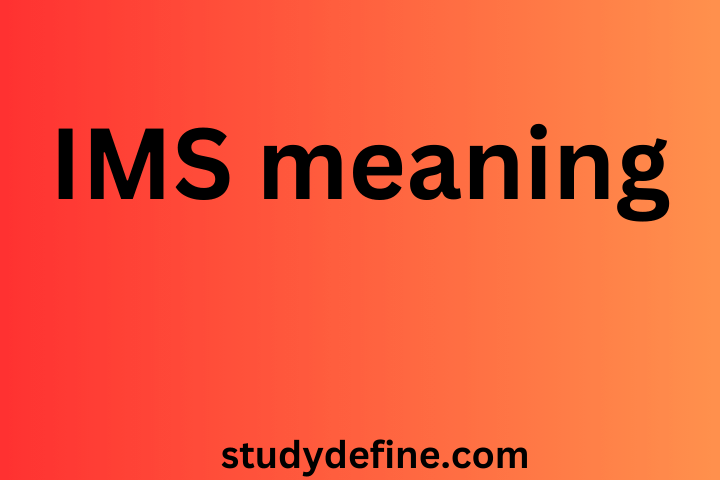IMS meaning text| slang examples