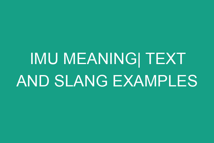 IMU meaning| Text and slang examples