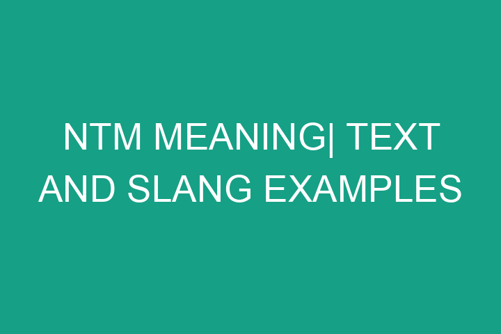 NTM meaning| Text and Slang examples