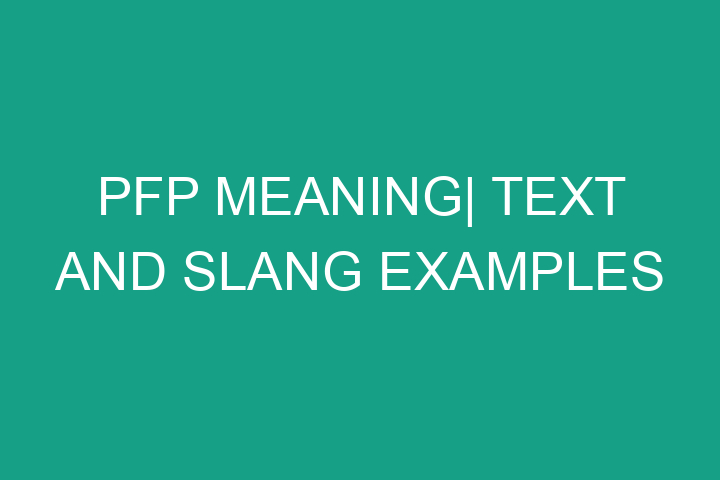 PFP meaning| Text and slang examples