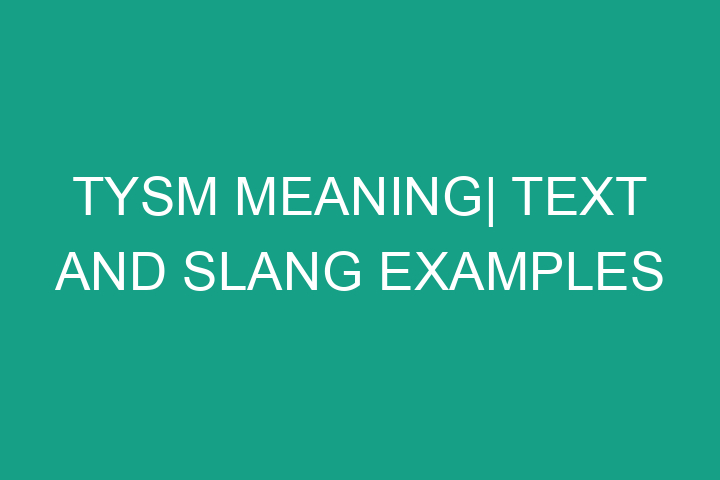 TYSM meaning| Text and slang examples