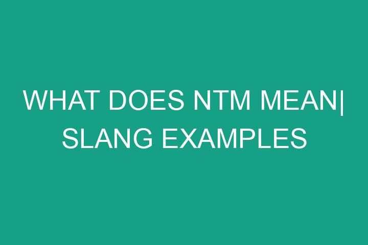 What does NTM mean| Slang examples