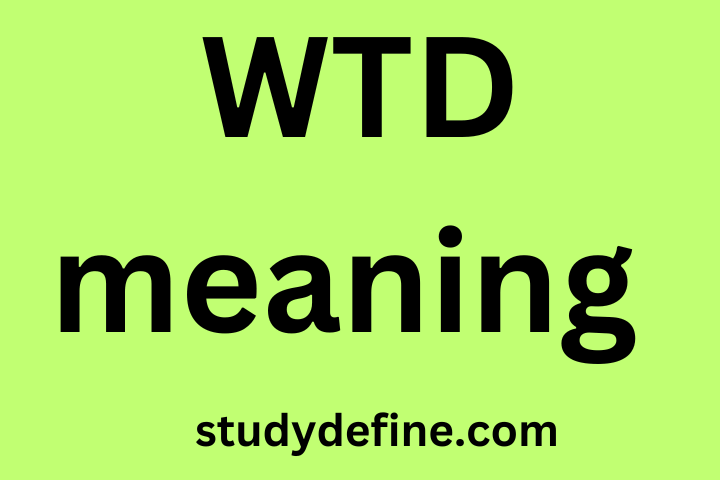 wtd meaning in text| Slang examples