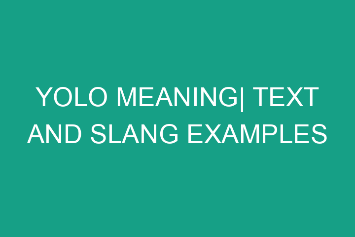 YOLO meaning| Text and Slang examples